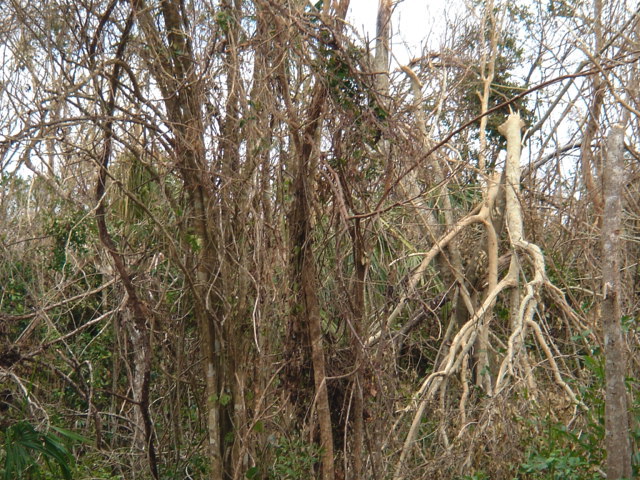 dsc00484.jpg